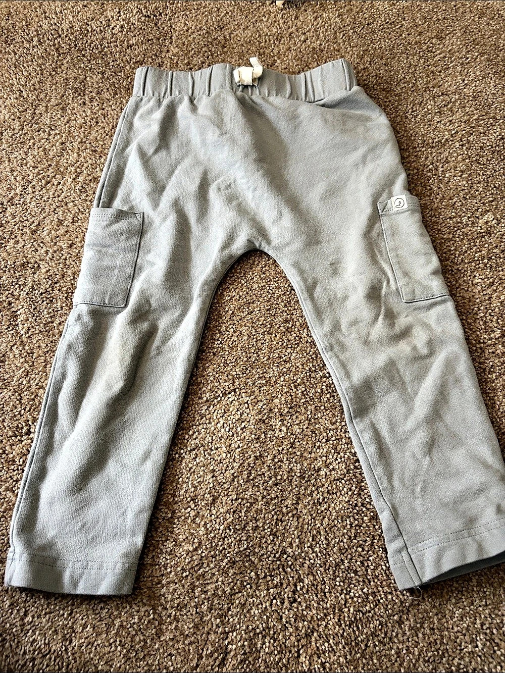 Carter's Little Planet Organic by Carter's Cargo Pants blue Gray Size 3T/4A